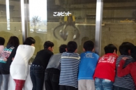 ߥ졼θ
