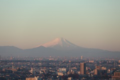 ٻλ