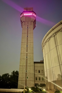 Ÿ˾楢å