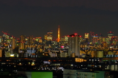 １１月の東京タワー