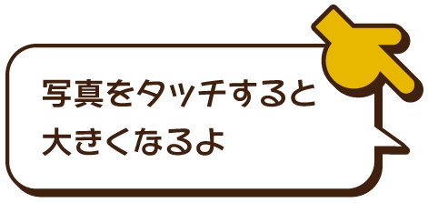 写真をタッチすると大きくなるよ