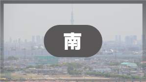 南